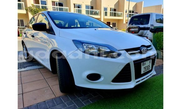 Buy Import Ford Focus White Car in Import - Dubai in Somalia