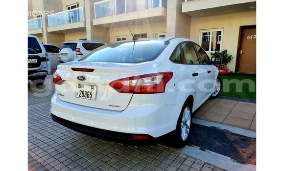 Buy Import Ford Focus White Car in Import - Dubai in Somalia Buy Import Ford Focus White Car in Import - Dubai in Somalia