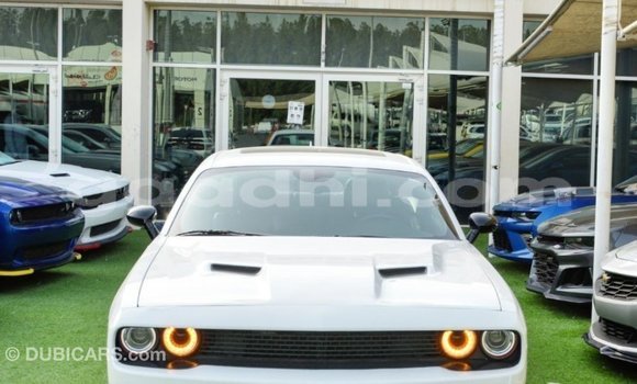 Buy Import Dodge Challenger White Car in Import - Dubai in Somalia Buy Import Dodge Challenger White Car in Import - Dubai in Somalia