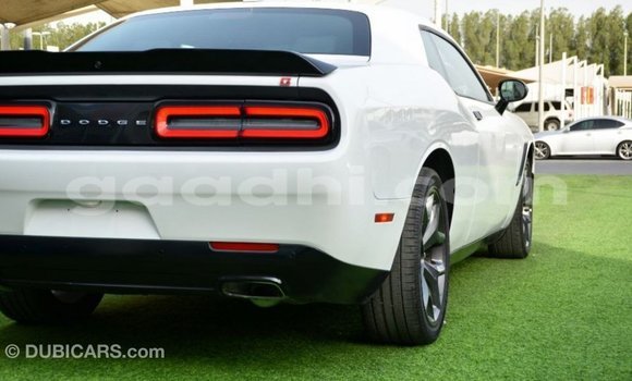 Buy Import Dodge Challenger White Car in Import - Dubai in Somalia Buy Import Dodge Challenger White Car in Import - Dubai in Somalia