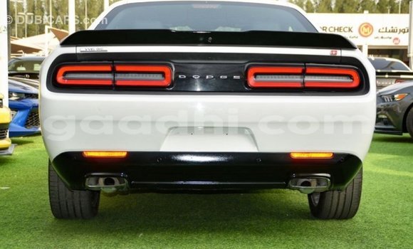Buy Import Dodge Challenger White Car in Import - Dubai in Somalia Buy Import Dodge Challenger White Car in Import - Dubai in Somalia