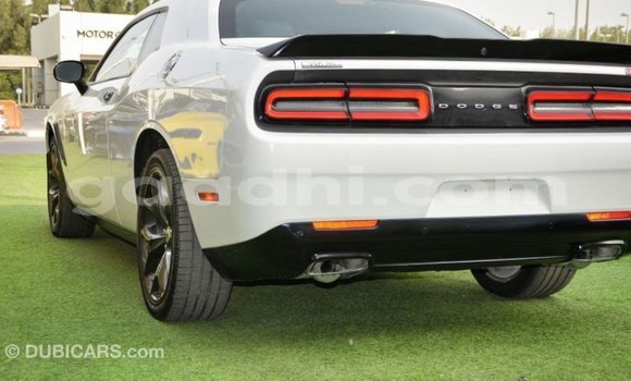 Buy Import Dodge Challenger White Car in Import - Dubai in Somalia Buy Import Dodge Challenger White Car in Import - Dubai in Somalia