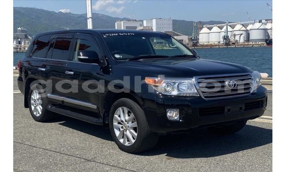 Buy Import Toyota Land Cruiser Black Car in Import - Dubai in Somalia