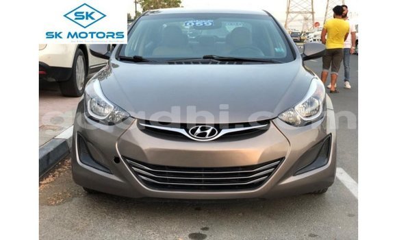 Buy Import Hyundai Elantra Brown Car in Import - Dubai in Somalia