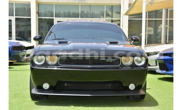 Buy Import Dodge Challenger Black Car in Import - Dubai in Somalia