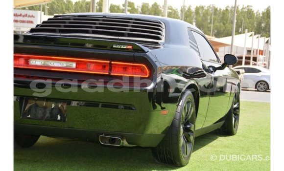 Buy Import Dodge Challenger Black Car in Import - Dubai in Somalia Buy Import Dodge Challenger Black Car in Import - Dubai in Somalia