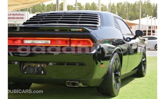 Buy Import Dodge Challenger Black Car in Import - Dubai in Somalia Buy Import Dodge Challenger Black Car in Import - Dubai in Somalia