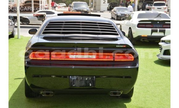 Buy Import Dodge Challenger Black Car in Import - Dubai in Somalia Buy Import Dodge Challenger Black Car in Import - Dubai in Somalia