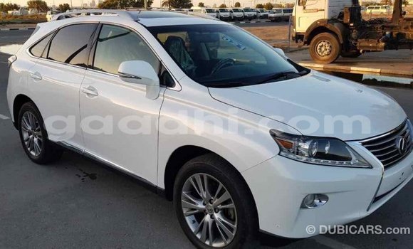 ይግዙ Imported Lexus RX 350 ነጭ መኪና በ Import - Dubai በ ሶማሊያ ይግዙ Imported Lexus RX 350 ነጭ መኪና በ Import - Dubai በ ሶማሊያ