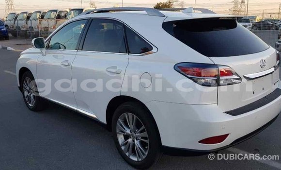 ይግዙ Imported Lexus RX 350 ነጭ መኪና በ Import - Dubai በ ሶማሊያ ይግዙ Imported Lexus RX 350 ነጭ መኪና በ Import - Dubai በ ሶማሊያ