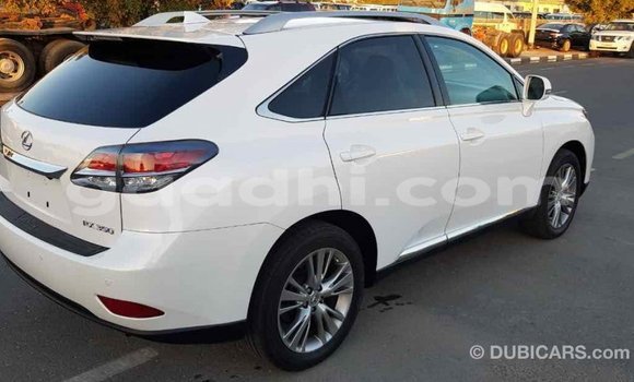 ይግዙ Imported Lexus RX 350 ነጭ መኪና በ Import - Dubai በ ሶማሊያ ይግዙ Imported Lexus RX 350 ነጭ መኪና በ Import - Dubai በ ሶማሊያ