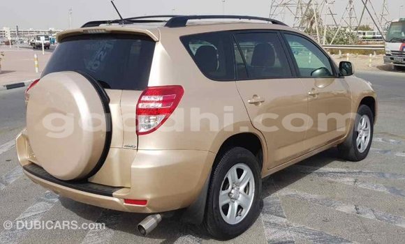 Buy Import Toyota RAV4 Other Car in Import - Dubai in Somalia Buy Import Toyota RAV4 Other Car in Import - Dubai in Somalia
