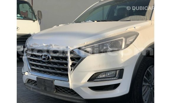 Nunua Imported Hyundai Tucson Nyeupe Gari ndani ya Import - Dubai nchini Somalia Nunua Imported Hyundai Tucson Nyeupe Gari ndani ya Import - Dubai nchini Somalia