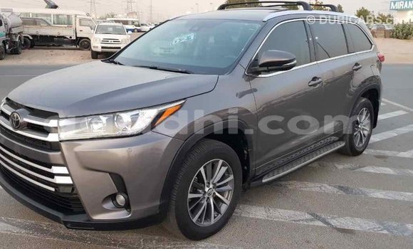 ይግዙ Imported Toyota Highlander ሌላ መኪና በ Import - Dubai በ ሶማሊያ ይግዙ Imported Toyota Highlander ሌላ መኪና በ Import - Dubai በ ሶማሊያ