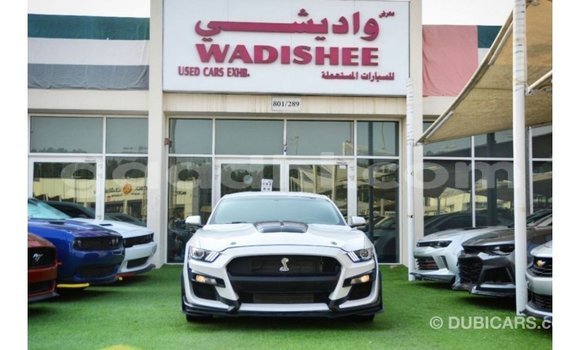 Buy Import Ford Mustang White Car in Import - Dubai in Somalia Buy Import Ford Mustang White Car in Import - Dubai in Somalia