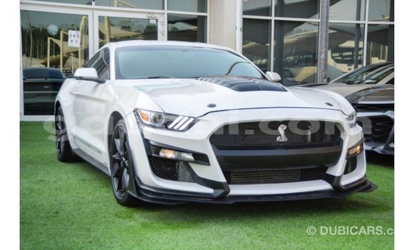 Buy Import Ford Mustang White Car in Import - Dubai in Somalia Buy Import Ford Mustang White Car in Import - Dubai in Somalia
