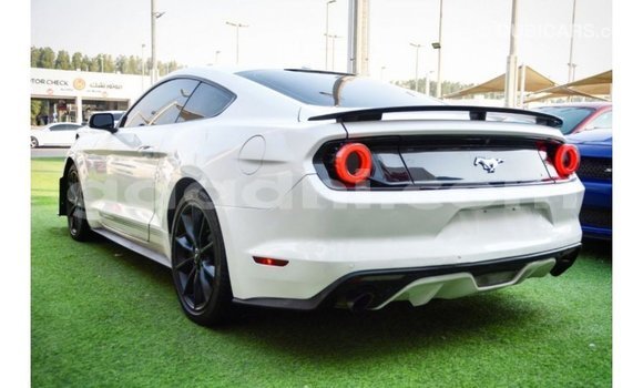 Buy Import Ford Mustang White Car in Import - Dubai in Somalia Buy Import Ford Mustang White Car in Import - Dubai in Somalia