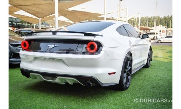 Buy Import Ford Mustang White Car in Import - Dubai in Somalia Buy Import Ford Mustang White Car in Import - Dubai in Somalia