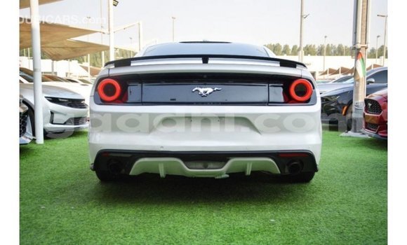 Buy Import Ford Mustang White Car in Import - Dubai in Somalia Buy Import Ford Mustang White Car in Import - Dubai in Somalia