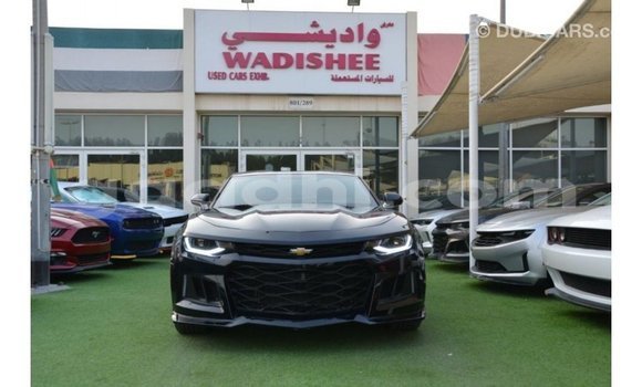 ይግዙ Imported Chevrolet Camaro ጥቁር መኪና በ Import - Dubai በ ሶማሊያ ይግዙ Imported Chevrolet Camaro ጥቁር መኪና በ Import - Dubai በ ሶማሊያ