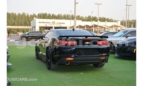 ይግዙ Imported Chevrolet Camaro ጥቁር መኪና በ Import - Dubai በ ሶማሊያ ይግዙ Imported Chevrolet Camaro ጥቁር መኪና በ Import - Dubai በ ሶማሊያ