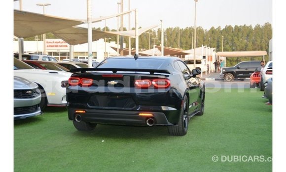 ይግዙ Imported Chevrolet Camaro ጥቁር መኪና በ Import - Dubai በ ሶማሊያ ይግዙ Imported Chevrolet Camaro ጥቁር መኪና በ Import - Dubai በ ሶማሊያ
