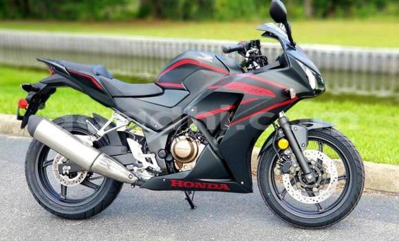 Buy Used Honda CBR Black Bike in Bardhere in Gedo