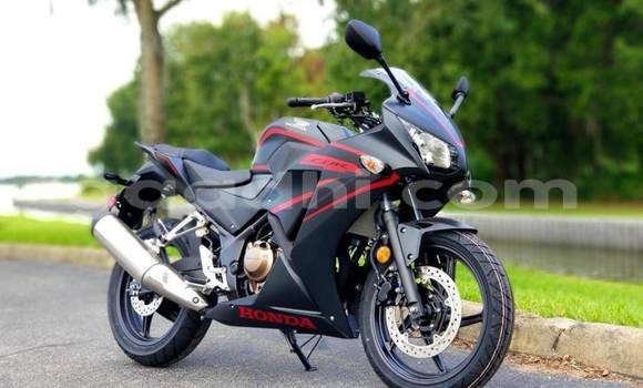 Buy Used Honda CBR Black Bike in Bardhere in Gedo Buy Used Honda CBR Black Bike in Bardhere in Gedo