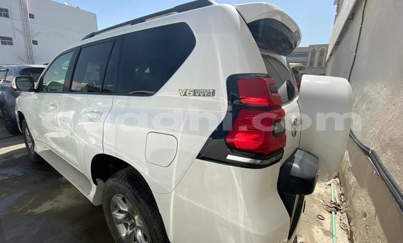 Buy Import Toyota Land Cruiser Prado White Car in Bargal in Bari Buy Import Toyota Land Cruiser Prado White Car in Bargal in Bari