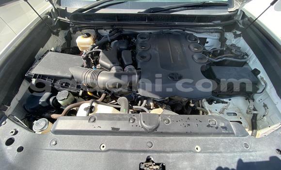 Buy Import Toyota Land Cruiser Prado White Car in Bargal in Bari Buy Import Toyota Land Cruiser Prado White Car in Bargal in Bari