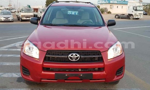Buy Import Toyota RAV4 Red Car in Import - Dubai in Somalia Buy Import Toyota RAV4 Red Car in Import - Dubai in Somalia