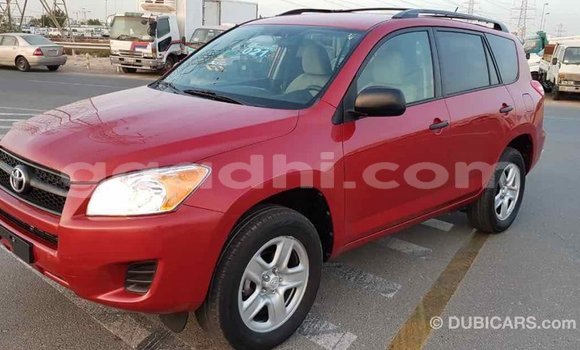 Buy Import Toyota RAV4 Red Car in Import - Dubai in Somalia Buy Import Toyota RAV4 Red Car in Import - Dubai in Somalia