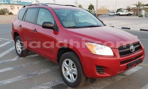 Buy Import Toyota RAV4 Red Car in Import - Dubai in Somalia Buy Import Toyota RAV4 Red Car in Import - Dubai in Somalia