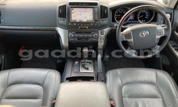Buy Used Toyota Land Cruiser White Car in Mogadishu in Somalia Buy Used Toyota Land Cruiser White Car in Mogadishu in Somalia