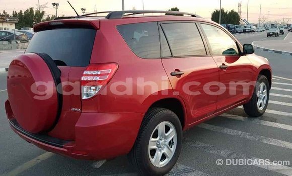 Buy Import Toyota RAV4 Red Car in Import - Dubai in Somalia Buy Import Toyota RAV4 Red Car in Import - Dubai in Somalia