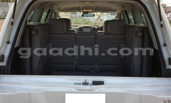 Buy Used Toyota Land Cruiser White Car in Mogadishu in Somalia Buy Used Toyota Land Cruiser White Car in Mogadishu in Somalia