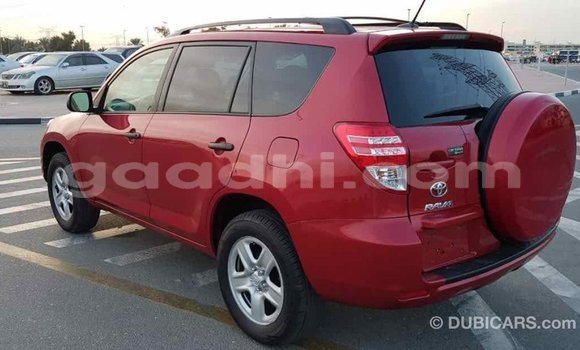 Buy Import Toyota RAV4 Red Car in Import - Dubai in Somalia Buy Import Toyota RAV4 Red Car in Import - Dubai in Somalia