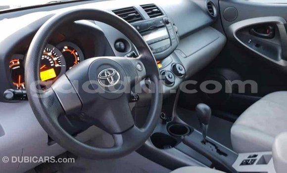 Buy Import Toyota RAV4 Red Car in Import - Dubai in Somalia Buy Import Toyota RAV4 Red Car in Import - Dubai in Somalia