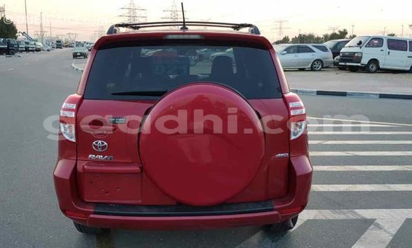 Buy Import Toyota RAV4 Red Car in Import - Dubai in Somalia Buy Import Toyota RAV4 Red Car in Import - Dubai in Somalia