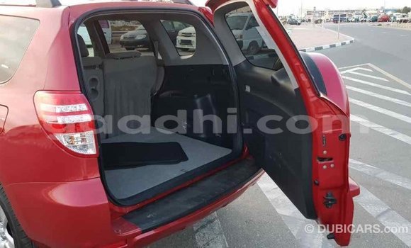 Buy Import Toyota RAV4 Red Car in Import - Dubai in Somalia Buy Import Toyota RAV4 Red Car in Import - Dubai in Somalia