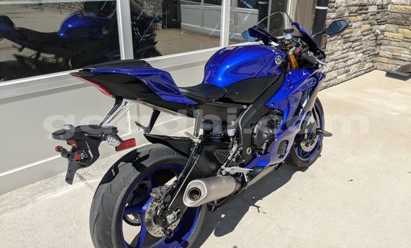 Buy New Yamaha YZF Red Bike in Bardhere in Gedo