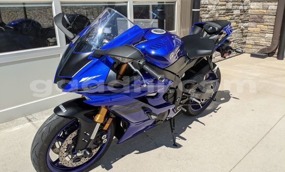 اشتري جديد Yamaha YZF أحمر دراجة نارية في Bardhere في جدو اشتري جديد Yamaha YZF أحمر دراجة نارية في Bardhere في جدو