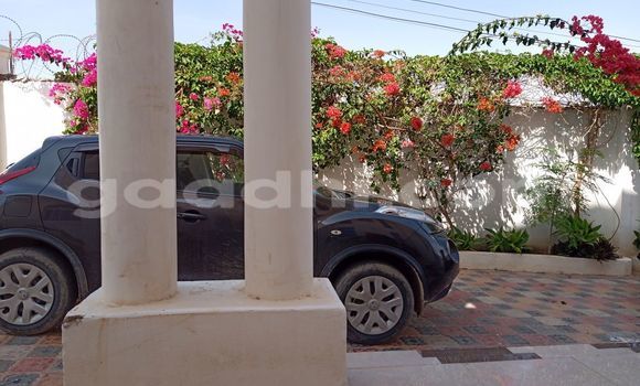 Buy Used Nissan Juke Nismo Brown Car in Hargeysa in Somaliland Buy Used Nissan Juke Nismo Brown Car in Hargeysa in Somaliland