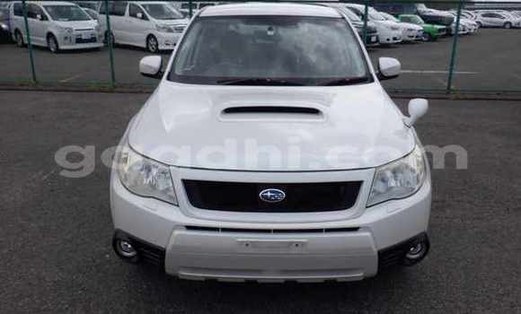 ይግዙ ያገለገለ Subaru Forester ነጭ መኪና በ Import - Dubai በ ሶማሊያ ይግዙ ያገለገለ Subaru Forester ነጭ መኪና በ Import - Dubai በ ሶማሊያ