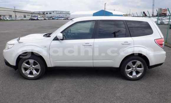 Buy Used Subaru Forester White Car in Import - Dubai in Somalia Buy Used Subaru Forester White Car in Import - Dubai in Somalia