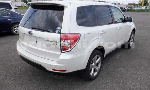 Buy Used Subaru Forester White Car in Import - Dubai in Somalia Buy Used Subaru Forester White Car in Import - Dubai in Somalia