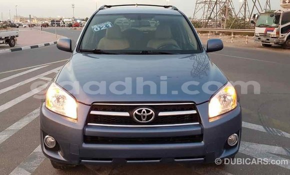 Buy Import Toyota RAV4 Blue Car in Import - Dubai in Somalia Buy Import Toyota RAV4 Blue Car in Import - Dubai in Somalia