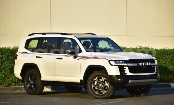 Buy New Toyota Land Cruiser White Car in Import - Dubai in Somalia