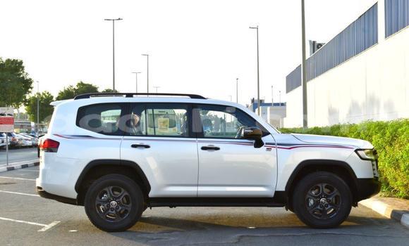 Nunua Mpya Toyota Land Cruiser Nyeupe Gari ndani ya Import - Dubai nchini Somalia Nunua Mpya Toyota Land Cruiser Nyeupe Gari ndani ya Import - Dubai nchini Somalia