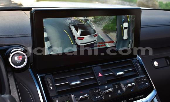 Nunua Mpya Toyota Land Cruiser Nyeupe Gari ndani ya Import - Dubai nchini Somalia Nunua Mpya Toyota Land Cruiser Nyeupe Gari ndani ya Import - Dubai nchini Somalia